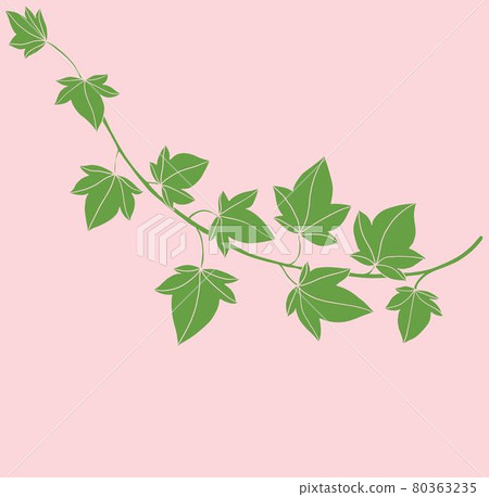 Simplicity ivy freehand drawing flat design. 80363235