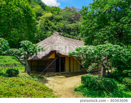 Former Nagai Residence, Yakushiike Park Old Folk House and Umebayashi (Machida City, Tokyo) 80363606
