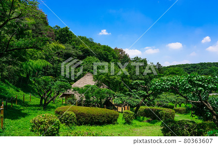 舊永井宅邸、藥鹿池公園舊民居、梅林(東京都町田市) 舊永井宅邸、藥鹿池公園舊民居、梅林(東京都町田市) 80363607