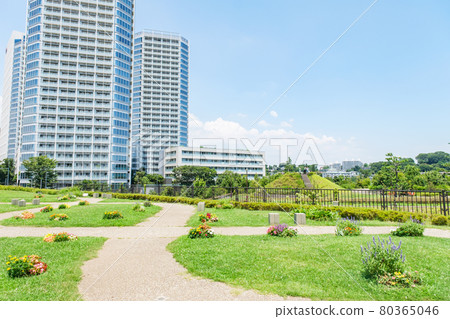 Park scenery Redeveloped Futakotamagawa Park and tower condominiums Setagaya-ku, Tokyo Park scenery Redeveloped Futakotamagawa Park and tower condominiums Setagaya-ku, Tokyo 80365046