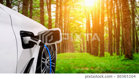EV charging station for electric car in concept of green energy and eco power 80365104
