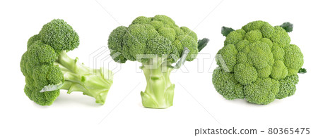 Broccoli isolated on white background. Raw green broccoli vegetable. Close up. Broccoli isolated on white background. Raw green broccoli vegetable. Close up. 80365475
