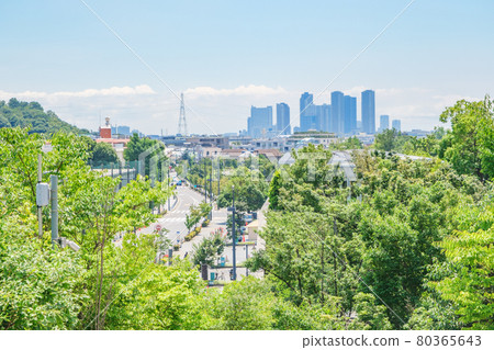 公園風景：從東京世田谷區重建的二子玉川公園看到的武藏小杉摩天大樓 80365643