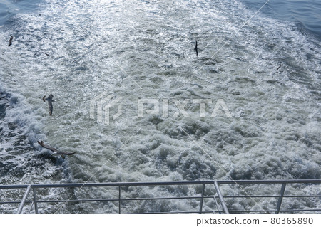 Daebudo Island, Bangameori Wharf 80365890