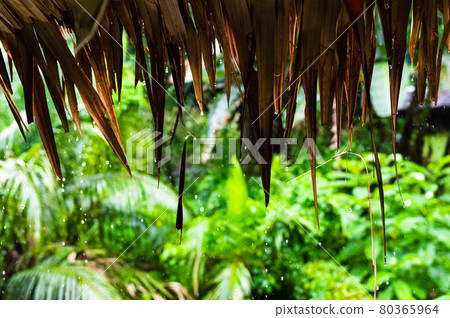 狂風期間的雨棚 80365964