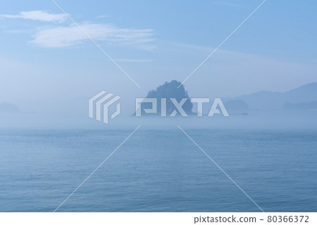 Soyado Water Fog 80366372