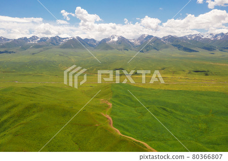 Nalati grassland with the blue sky. Nalati grassland with the blue sky. 80366807