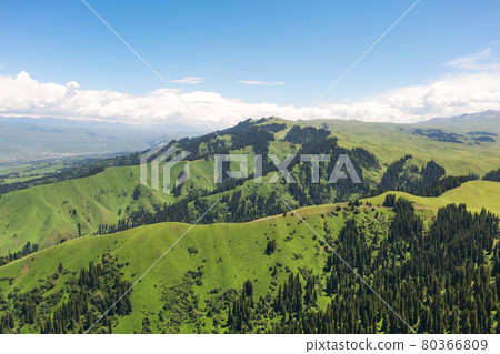 Nalati grassland with the blue sky. 80366809