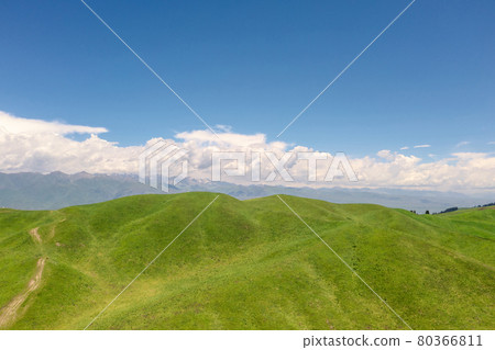 Nalati grassland with the blue sky. 80366811