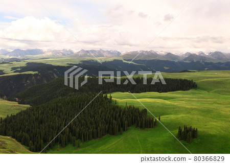 Mountain peaks and grassland are under white clouds. Mountain peaks and grassland are under white clouds. 80366829