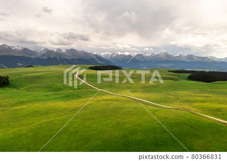 Mountain peaks and grassland are under white clouds. 80366831