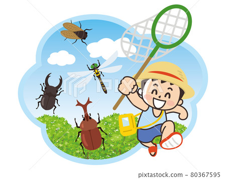 Summer vacation boy collecting insects 80367595