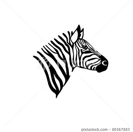 Silhouette of the Head vector illustration 80367883