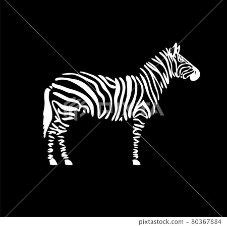 abstract zebra standing vector 80367884