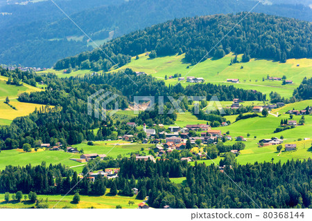 Landscape of Alpine green valley in summer, Austria, Europe Landscape of Alpine green valley in summer, Austria, Europe 80368144