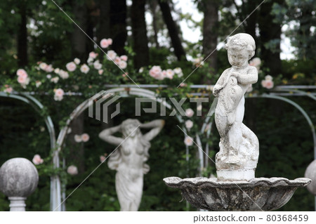 玫瑰園的維納斯和天使噴泉 80368459