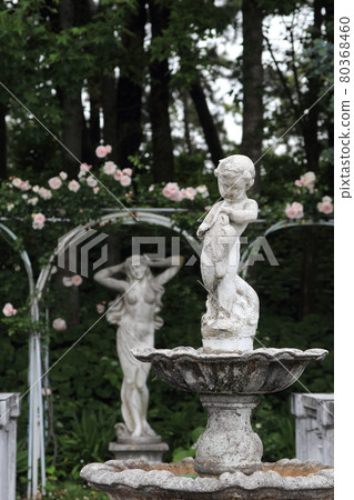 玫瑰、維納斯和男孩噴泉 玫瑰、維納斯和男孩噴泉 80368460