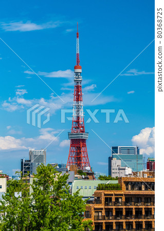 Tokyo cityscape of Japan: View of Tokyo Tower from Roppongi Tokyo cityscape of Japan: View of Tokyo Tower from Roppongi 80368725