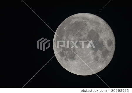 July 24, 2021 Age 14.57 23:59 80368955