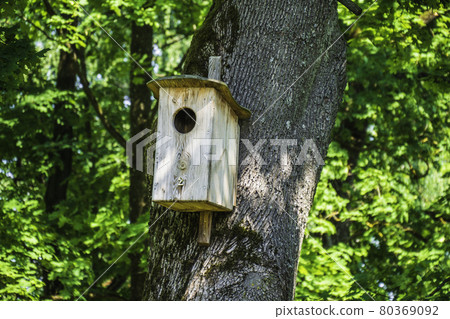 Wooden Birdhouse Hanging on Tree in the city Park 80369092