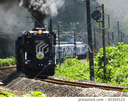 SL steam locomotive D51 Gunma 80369129