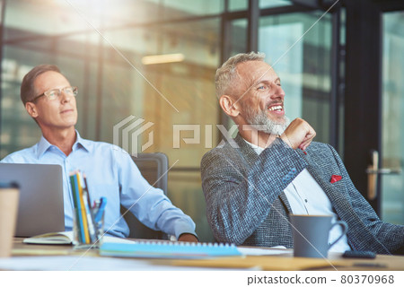 Two cheerful mature male coworkers sitting at meeting in the modern office Two cheerful mature male coworkers sitting at meeting in the modern office 80370968