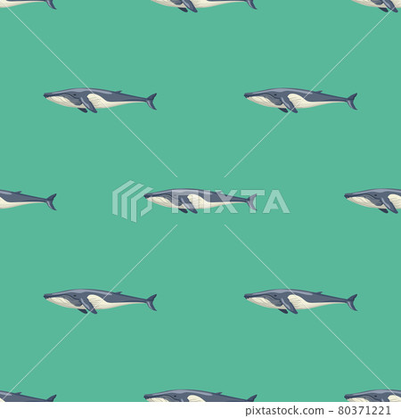 whale template pattern