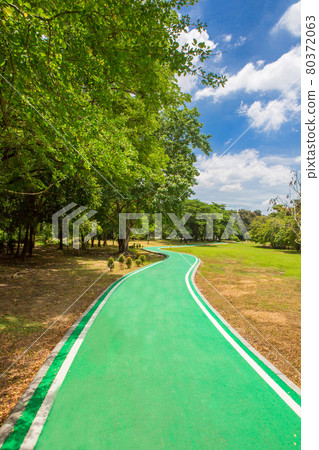 Green bicycle path in the park 80372063