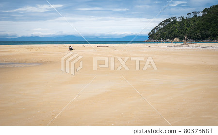 Person relaxing on remote beach with golden sands. Shot in Abel Tasman National Park, New Zealand Person relaxing on remote beach with golden sands. Shot in Abel Tasman National Park, New Zealand 80373681