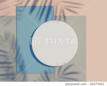 3d render top view of white blank cylinder frame for mock up and display products with shadows of palm leaves and earth tone background. 3d render top view of white blank cylinder frame for mock up and display products with shadows of palm leaves and earth tone background. 80375001