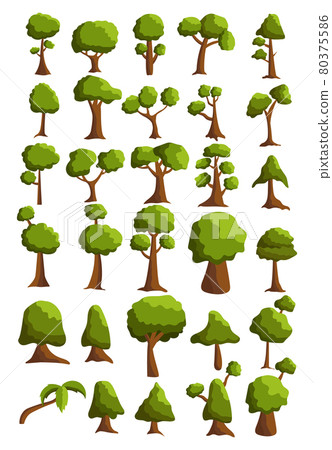 Seth trees from different climatic zones on a white background - Vector 80375586
