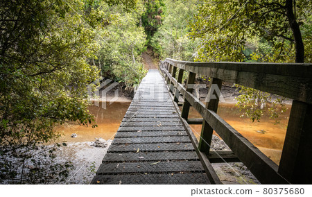 Wooden bridge leading leading above muddy river in the jungle. Shot made on Stewart Island Rakiura, New Zealand 80375680