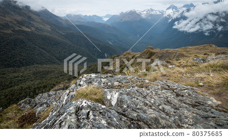 View on alpine valley with mountains in backdrop filled with dense woods. Shot on Routeburn Track, New Zealand 80375685