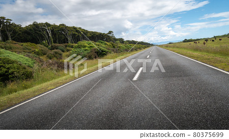 Road leading to the distance tilted. Shot made during sunny day on the West Coast region of New Zealand Road leading to the distance tilted. Shot made during sunny day on the West Coast region of New Zealand 80375699