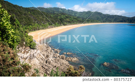 View on the tropical beach with golden sands and azure waters. Landscape shot made in Abel Tasman National Park, New Zealand View on the tropical beach with golden sands and azure waters. Landscape shot made in Abel Tasman National Park, New Zealand 80375727