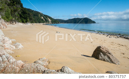 Remote exotic beach with golden sands, shot in Abel Tasman National Park, New Zealand Remote exotic beach with golden sands, shot in Abel Tasman National Park, New Zealand 80375737