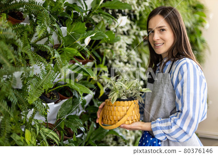 Smiling woman gardener near vertical greenery phytomodul holding tradescantia in straw basket box Smiling woman gardener near vertical greenery phytomodul holding tradescantia in straw basket box 80376146