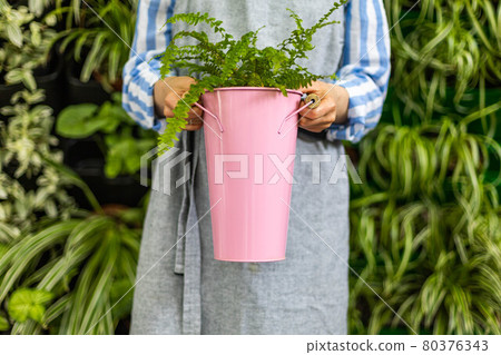 Portrait of woman gardener in apron holding fern nephrolepis in pink bucket working in greenhouse Portrait of woman gardener in apron holding fern nephrolepis in pink bucket working in greenhouse 80376343