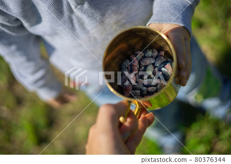 A little boy eats a blue honeysuckle from a golden mug. 80376344
