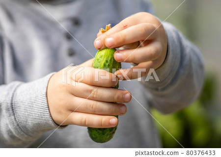 A little boy found the first young green cucumber in a greenhouse 80376433