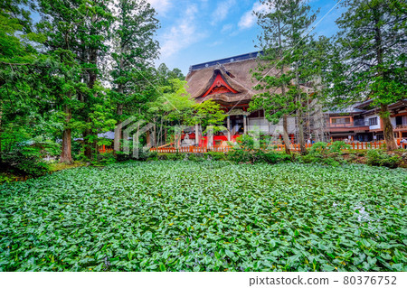 Sanjika節和鏡子池塘 Sanjika節和鏡子池塘 80376752