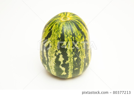 Tiger Melon Studio Shoot Tiger Melon Studio Shoot 80377213