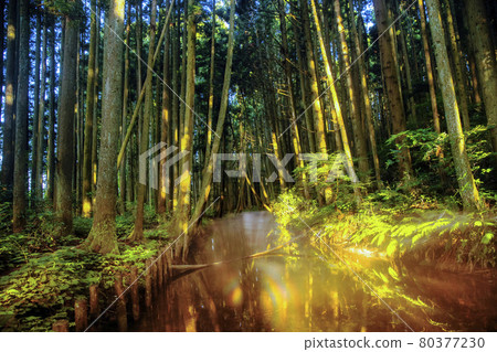 A river covered with light and Asagiri Yusa Yamagata 80377230