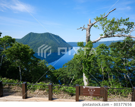 Lining circumference 80377656