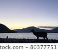 Three Views of Japan-Itsukushima (Miyajima, Aki) at dusk and deer 80377751