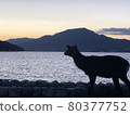 Three Views of Japan-Itsukushima (Miyajima, Aki) at dusk and deer 80377752