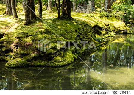 京都西法寺(青苔寺) 京都西法寺(青苔寺) 80378415