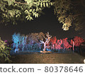 Night Zoo Night Zoo Illumination-Zebra 80378646