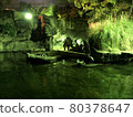Night Zoo Night Zoo Illumination-Hippopotamus 80378647