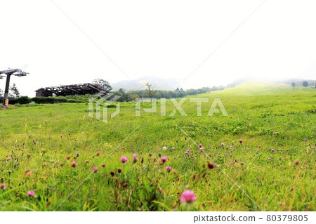 Summer ski resort Summer ski resort 80379805